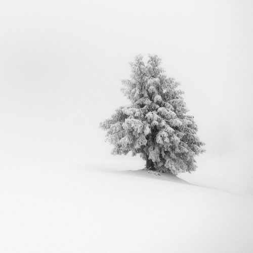 DSC_4116-Modifier